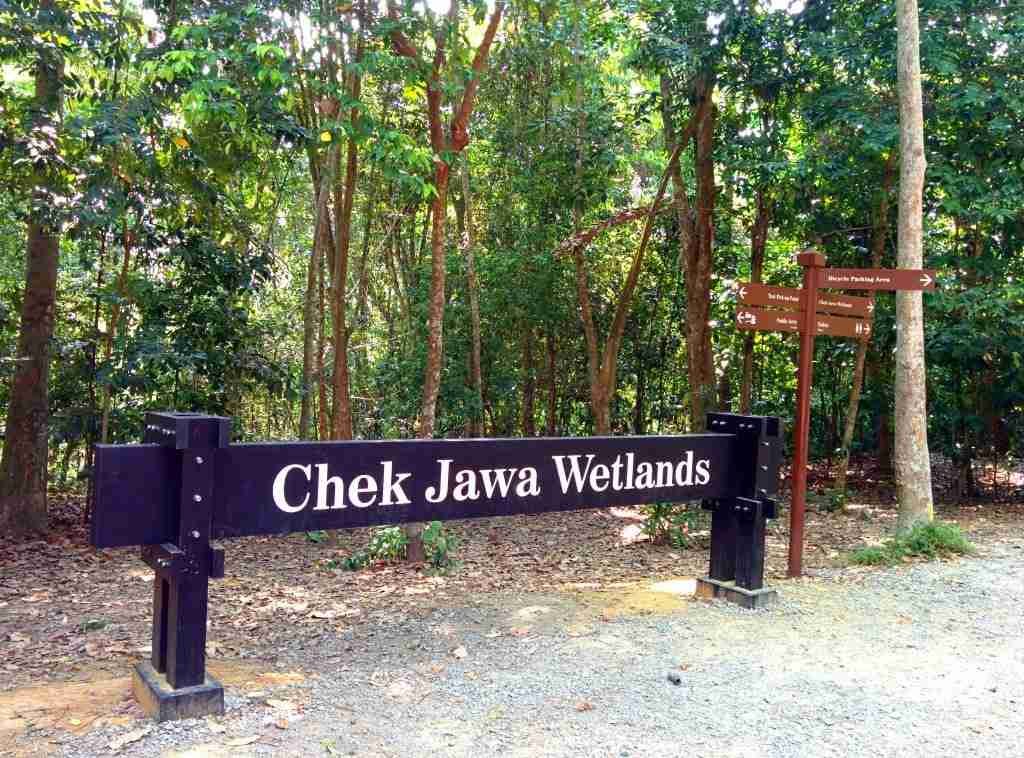 Chek Jawa Wetlands, Pulau Ubin