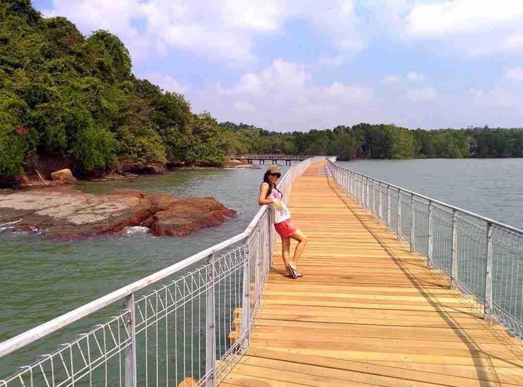 Chek Jawa Wetlands bridge, Pulau Ubin