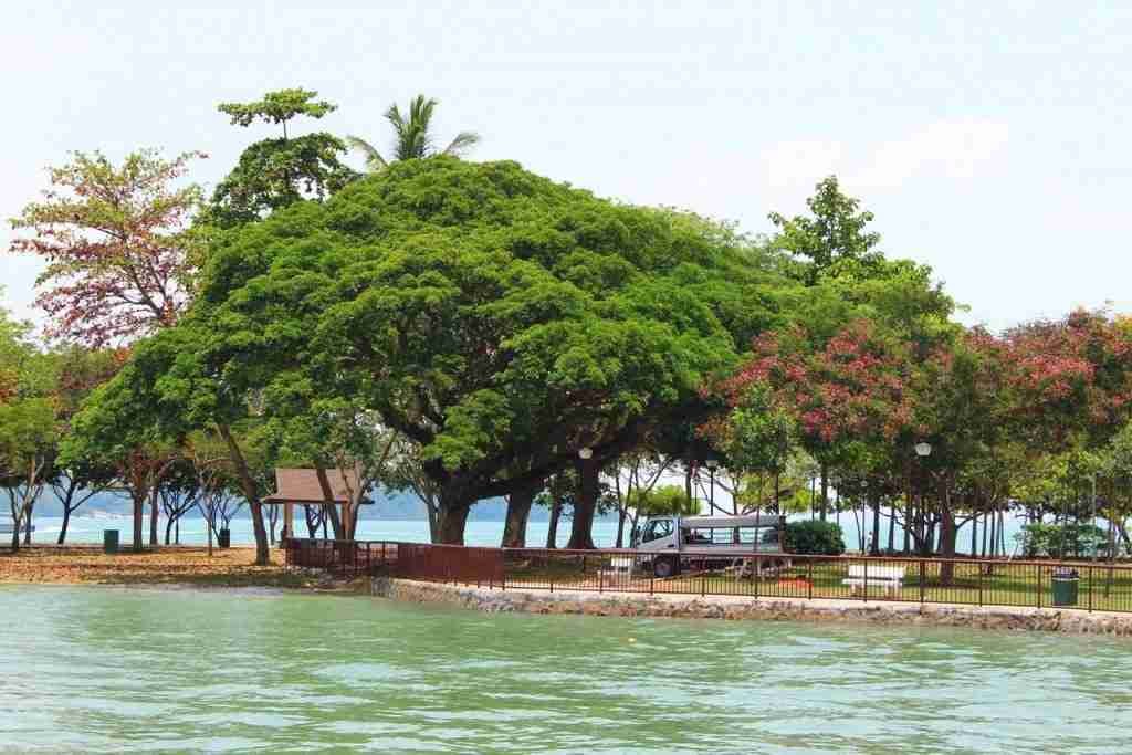 Pulau Ubin Jetty at Changi Terminal - 1