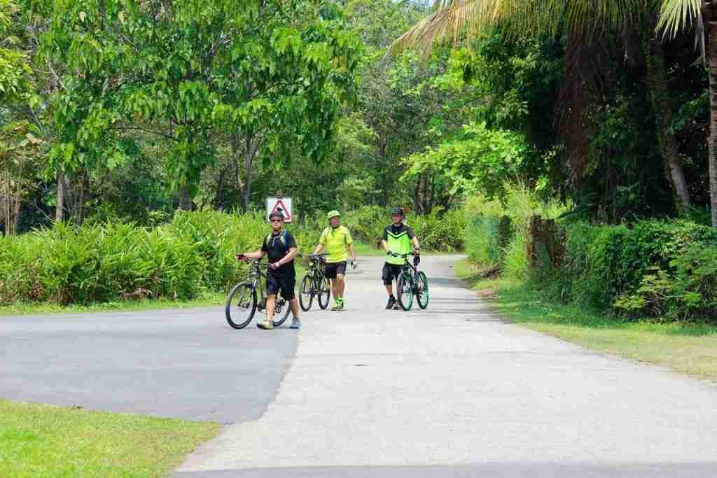 The cyclists - 1