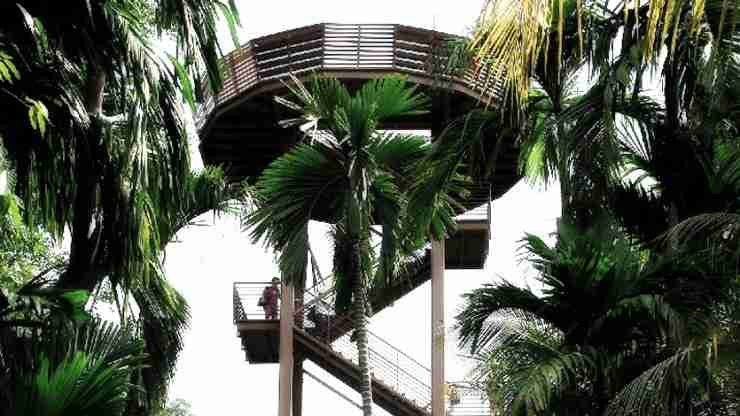 Viewing Deck