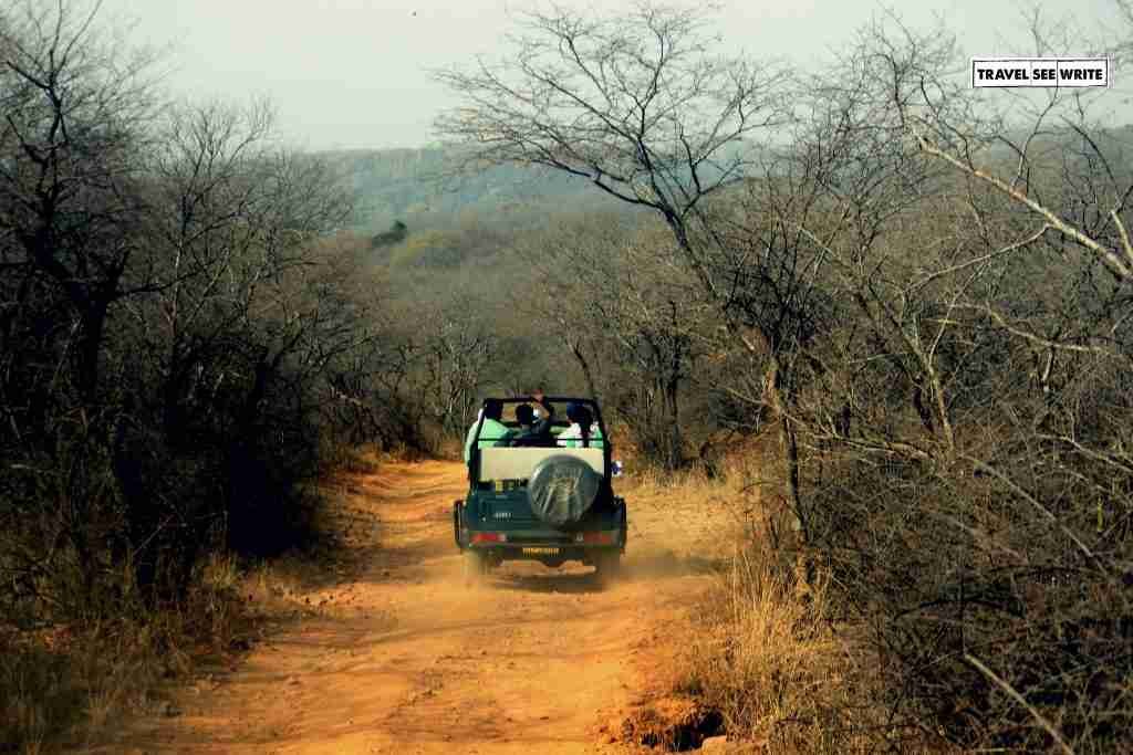 Jeep Ride. Ranthambore Tiger Safari