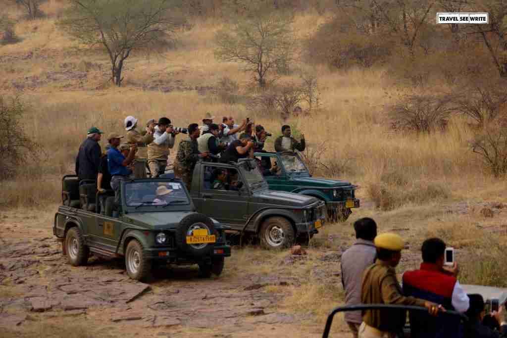 Tourists during Ranthambore Tiger Safari