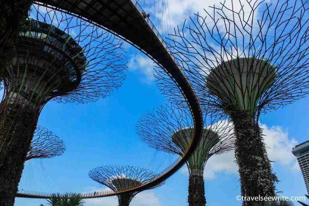 Pedestrian walkway through Giant Skytrees, Gardens by the Bay, Singapore