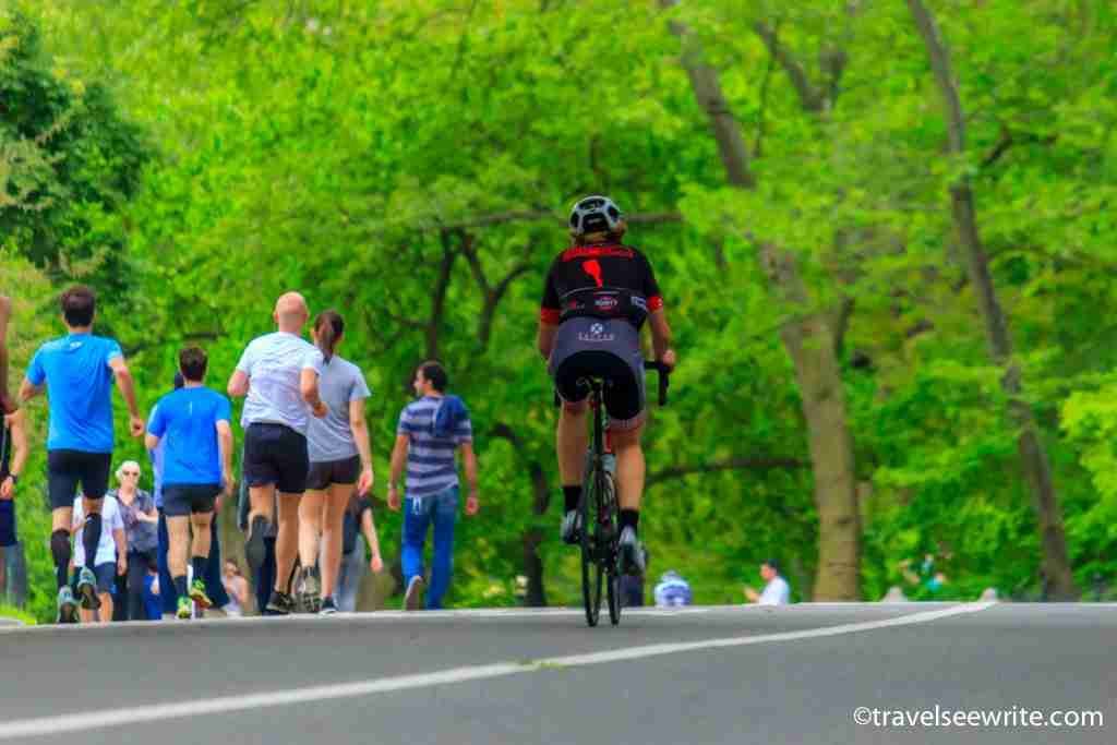 7 Best short road trips from NYC