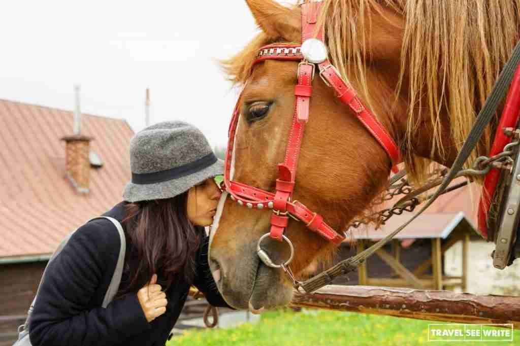 Winter in Slovakia: Go on a horse carriage ride