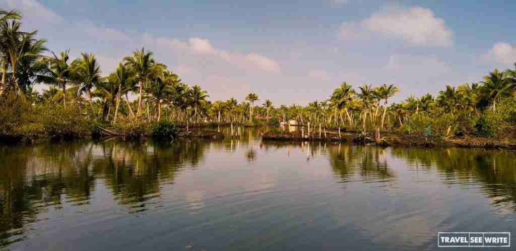 Coconut tree lined Lake Ashtamudi of Munroe Island, Kerala