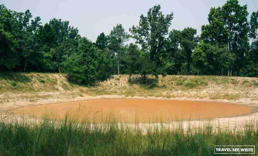 A water hole that's a favourite point for tiger spotting in summers, Bandhavgarh Tala Region.